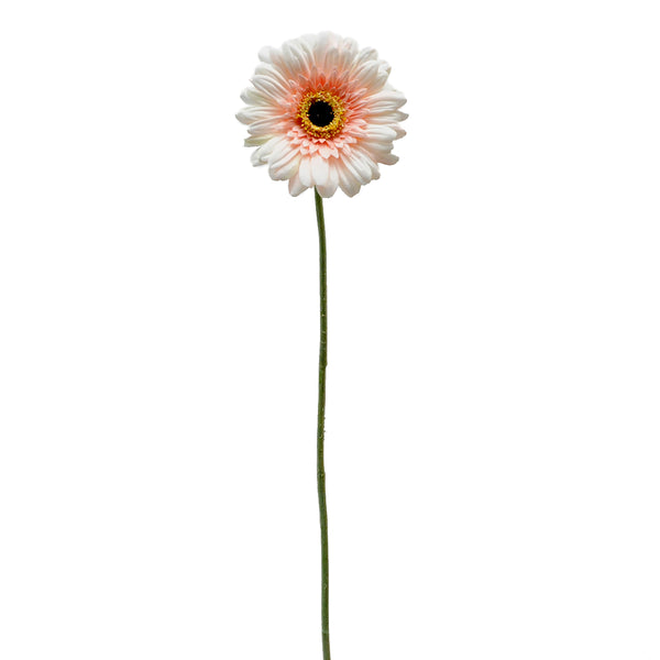 prezzo Set mit 12 künstlichen Gerbera-Blumen, Höhe 63 cm, Rosa