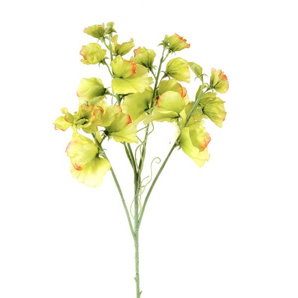 acquista Set 4 künstliche Erbsenblumen Höhe 67 cm Grün