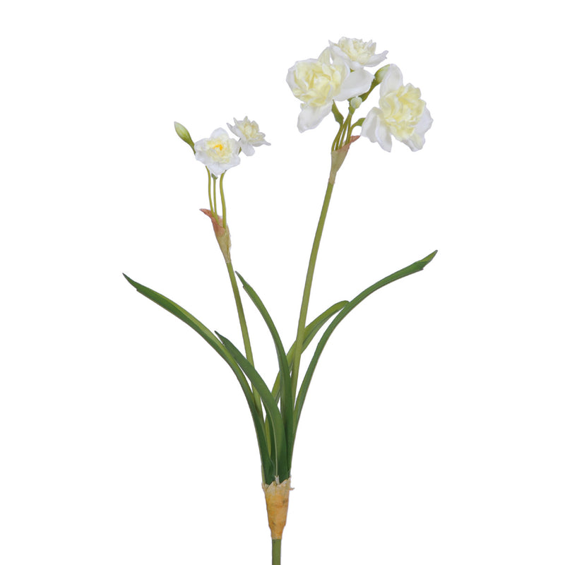 2 Narciso con 2 Fiori Artificiali Altezza 67 cm -1