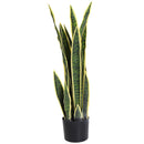 Pianta Artificiale Sanseveria Ø15x80 cm con Vaso  Verde-1