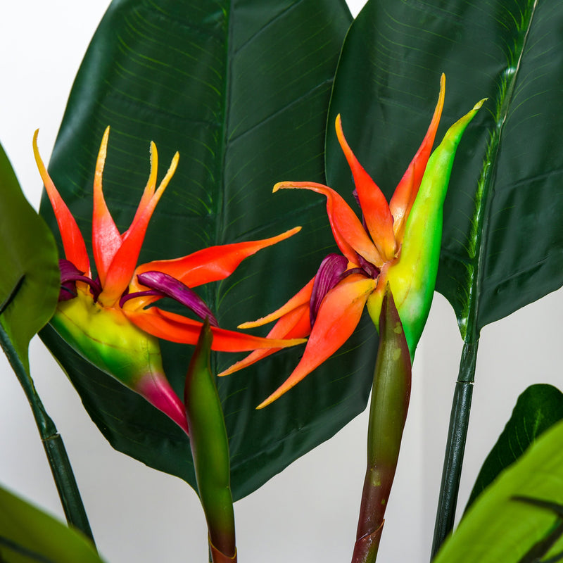 Pianta Artificiale Strelitzia Reginae H155 cm con Vaso Verde e Rosso-8