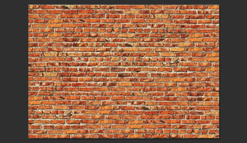 Fotomurale - Brick Wall 300X210 cm Carta da Parato Erroi-2