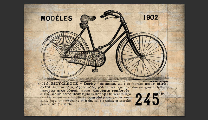 Fotomurale - Bicicletta Vintage 300X210 cm Carta da Parato Erroi-2