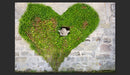 Fotomurale - Angel Stole My Heart 300X210 cm Carta da Parato Erroi-2