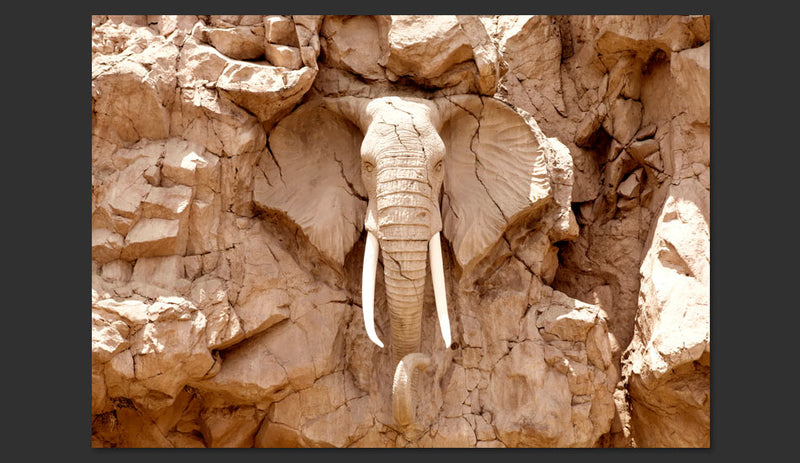 Fotomurale - Stone Elephant South Africa 300X210 cm Carta da Parato Erroi-2