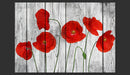 Fotomurale - Tale Of Red Poppies 300X210 cm Carta da Parato Erroi-2