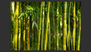 Fotomurale - Oriental Garden 300X210 cm Carta da Parato Erroi-2