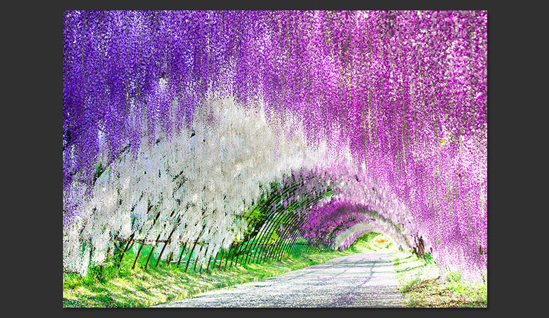 Fotomurale - Enchanted Garden 400X280 cm Carta da Parato Erroi-2