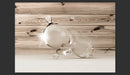 Fotomurale - Whisper Of Drop 400X280 cm Carta da Parato Erroi-2