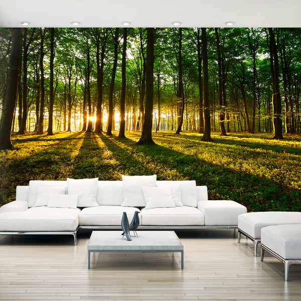 Fototapete XXL - Mystischer Morgen II 500x280cm Erroi online