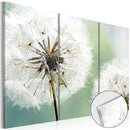 Quadro su Vetro Acrilico - Fluffy Dandelions 120x80cm Erroi-1