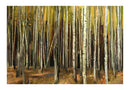 Carta da Parati Fotomurale - Bosco di Mille Alberi 400x270 cm Erroi-2