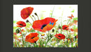 Fotomurale - Country Poppies 400X270 cm Carta da Parato Erroi-2