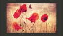 Fotomurale - Summer Is Coming 450X270 cm Carta da Parato Erroi-2