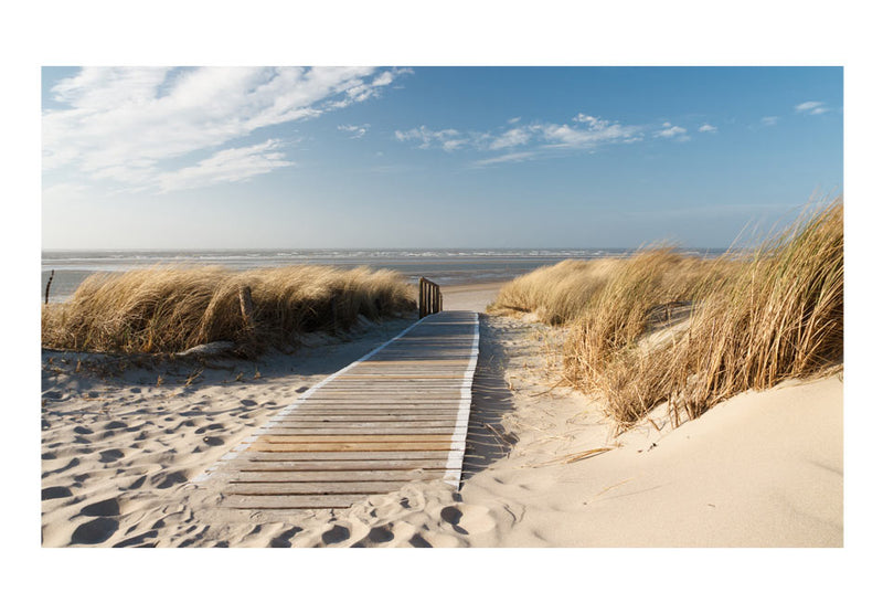 Carta da Parati Fotomurale - Spiaggia Del Mare Del Nord, Langeoog 450x270 cm Erroi-2