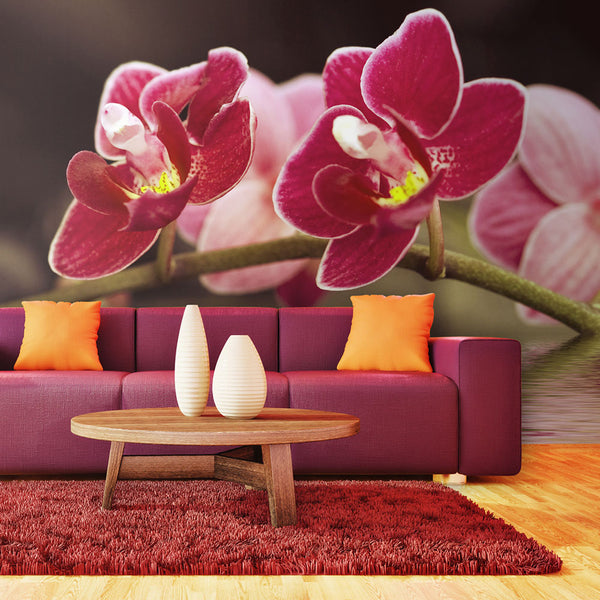 acquista Fototapete – Orchideenblüten Spiegelungen im Wasser 450x270cm Erroi