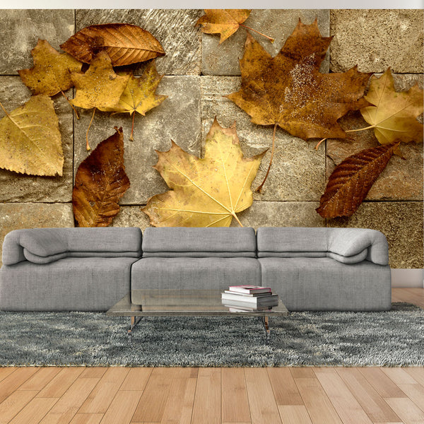 Fototapete – Herbstvorspiel 450x270cm Erroi sconto