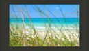 Fotomurale - Tropical Journey 450X270 cm Carta da Parato Erroi-2