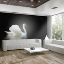 Fotomurale - Cigno Bianco e Nero 200X154 cm Carta da Parato Erroi-1