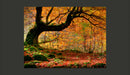 Fotomurale - Autunno, Bosco e Foglie 200X154 cm Carta da Parato Erroi-2