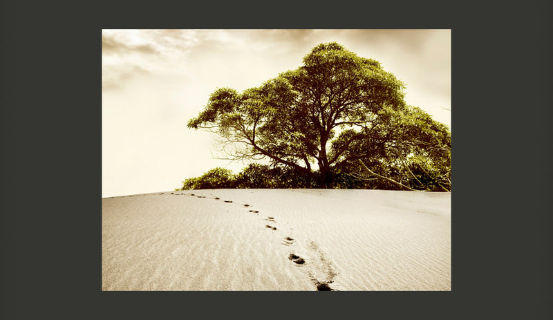 Fotomurale - Albero Nel Deserto 200X154 cm Carta da Parato Erroi-2