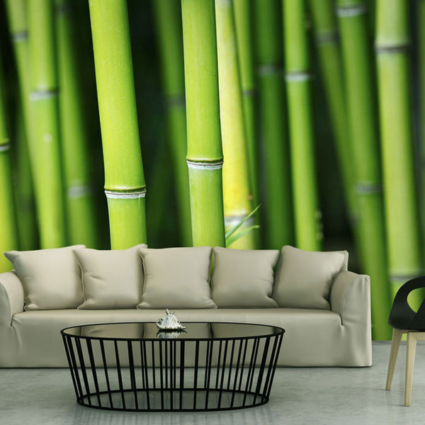 Fototapete - Bamboo Wallpaper Erroi sconto