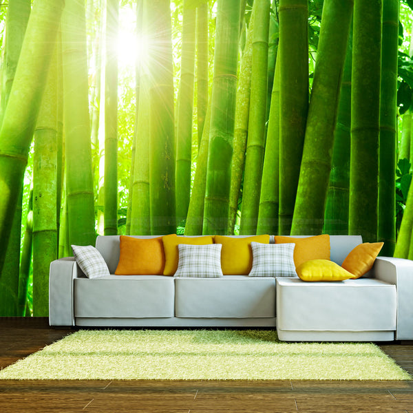 Fototapete - Sun And Bamboo Wallpaper Erroi sconto