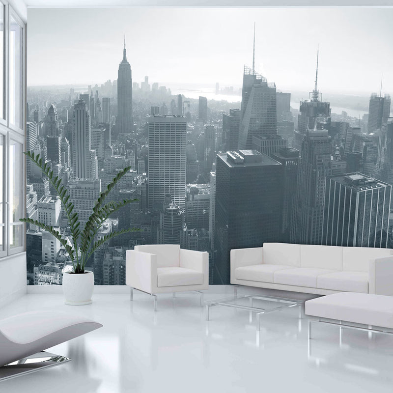 Fotomurale - Panorama di New York in Bianco e Nero 200X154 cm Carta da Parato Erroi-1