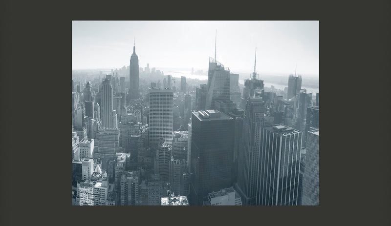 Fotomurale - Panorama di New York in Bianco e Nero 200X154 cm Carta da Parato Erroi-2