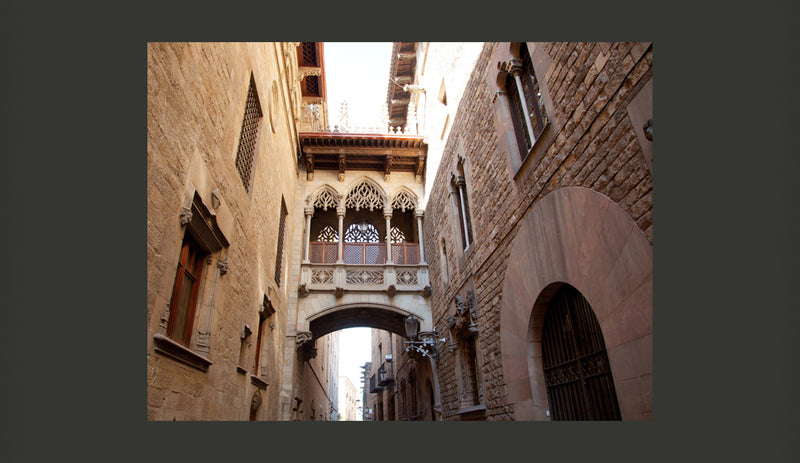 Fotomurale - Barcelona Palau Generalitat in Gothic Barrio 200X154 cm Carta da Parato Erroi-2