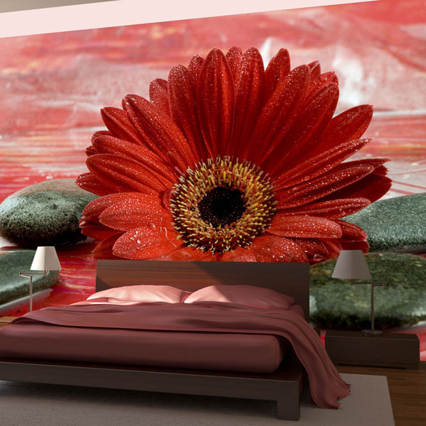 acquista Fototapete - Gerbera, Steine ​​und Zen Wallpaper Erroi