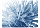 Carta da Parati Fotomurale - Fiore - Dahlia Azzurra 200x154 cm Erroi-2