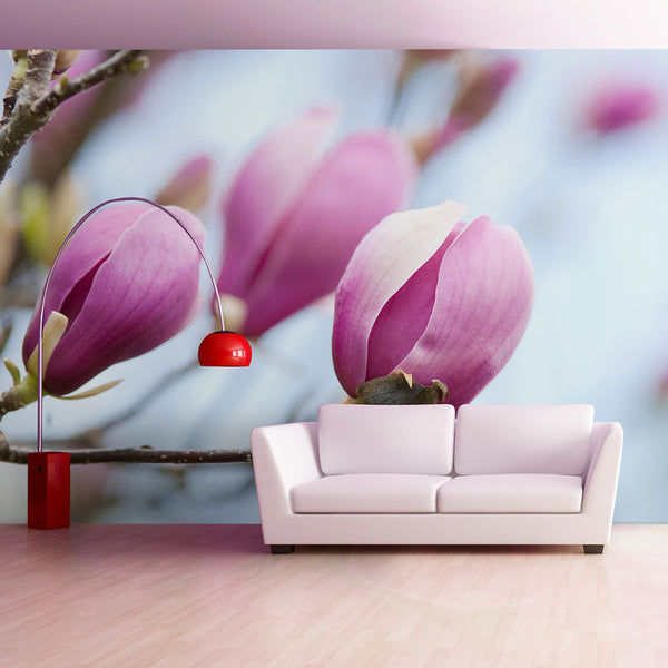 Fototapete - Frühling - Magnolie 200x154cm Erroi online