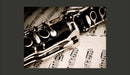 Fotomurale - Clarinetto e Note Musicali 200X154 cm Carta da Parato Erroi-2