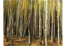 Carta da Parati Fotomurale - Bosco di Mille Alberi 200x154 cm Erroi-2