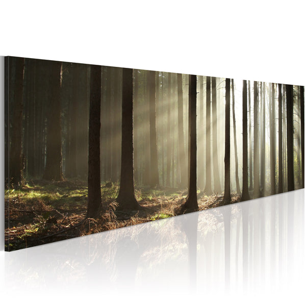 Rahmen - Leinwandbild - Morgen im Wald 120x40cm Erroi prezzo