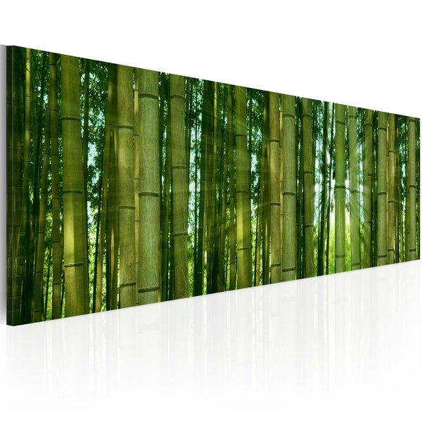 acquista Rahmen - Leinwandbild - Bamboo In The Sunshine 120x40cm Erroi