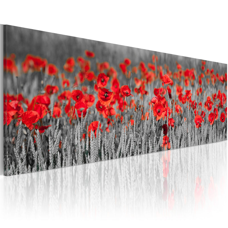 Quadro - Poppies Among Fields Of Wheat 120X40Cm Erroi-1