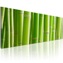 Quadro - Canvas Print - in a Bamboo Bush 120x40cm Erroi-1