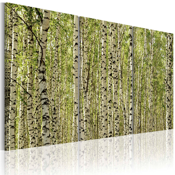 sconto Rahmen - Birkenwald 60x40cm Erroi