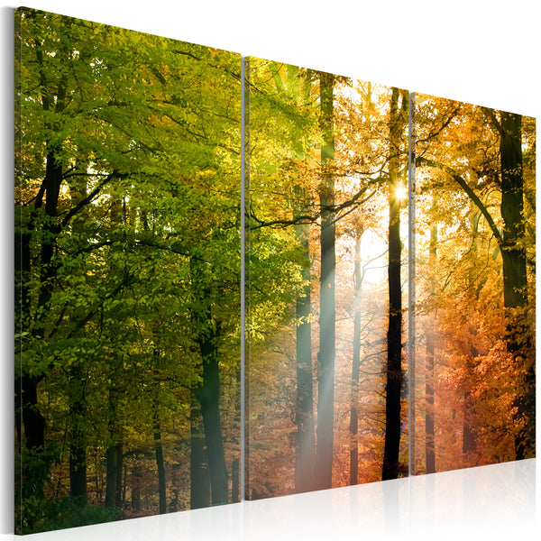 sconto Poster - Friedlicher Herbstwald Erroi