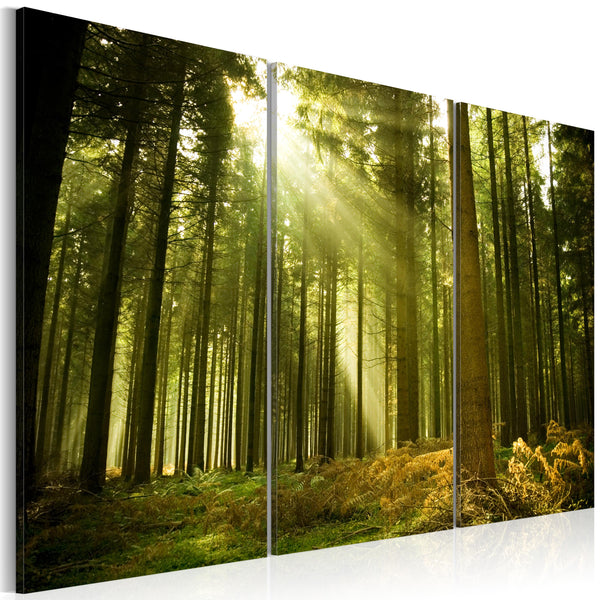 Leinwandbild - Forest Charm Of Nature Erroi acquista