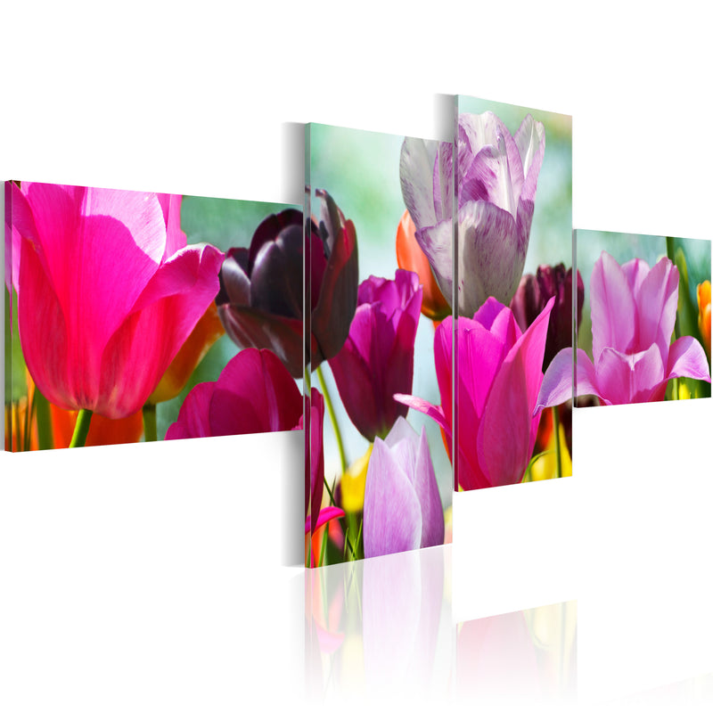 Quadro - Incanto Dei Tulipani Rosa Erroi-1