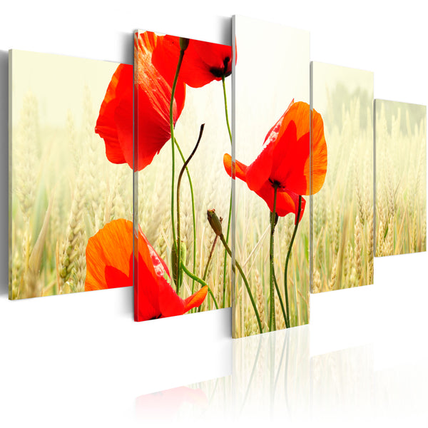 sconto Leinwandbild - Natur und rote Mohnblumen Erroi