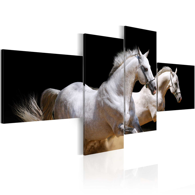 Quadro - Mondo Degli Animali - Cavalli Bianchi Al Galoppo 100x45cm Erroi-1