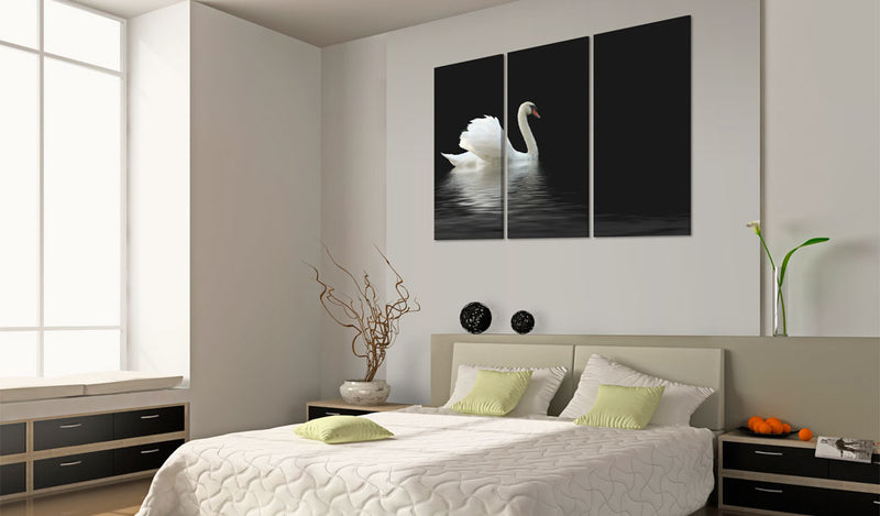 Quadro - Cigno Bianco Solitario 60x40cm Erroi-2