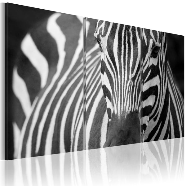 sconto Plakat - Signora Zebra Erroi