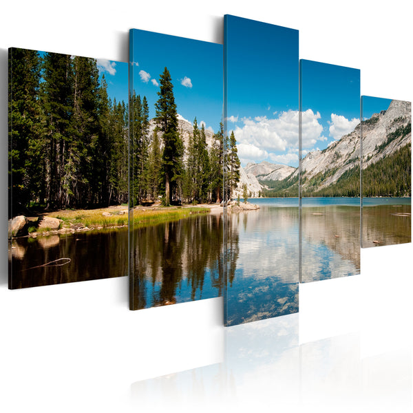 Poster - Bergsee im Frühsommer Erroi acquista