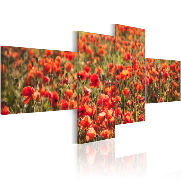 Poster - Poppies Everywhere Errors acquista