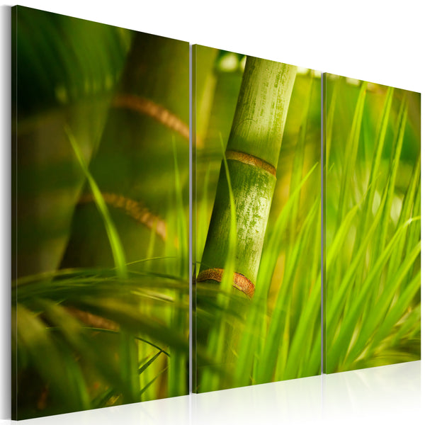 Poster - Deep Green Of Tropical Herbs Erroi online